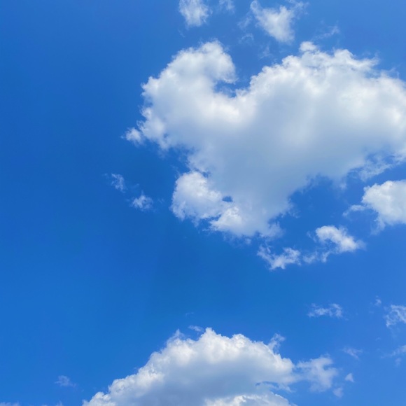 Meet your Posher, Yeet - Picture 1 of 1